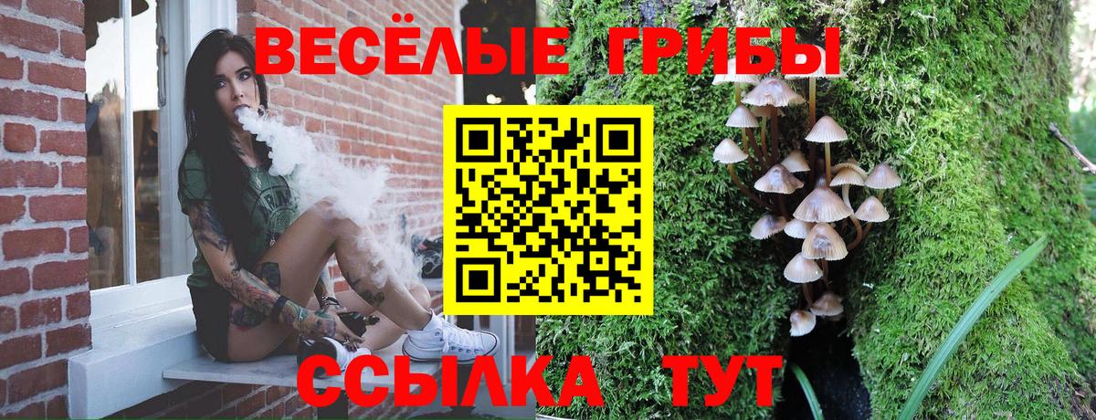 Псилоцибиновые грибы Cubensis  Вход с VPN  Алексеевка  Псилоцибиновые грибы мухоморы 
